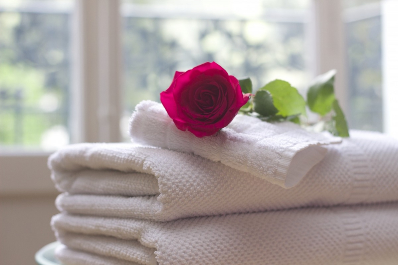 chambre-hote-LA ROQUETTE SUR VAR-min_towel_rose_clean_care_salon_spa_white_bath-731641